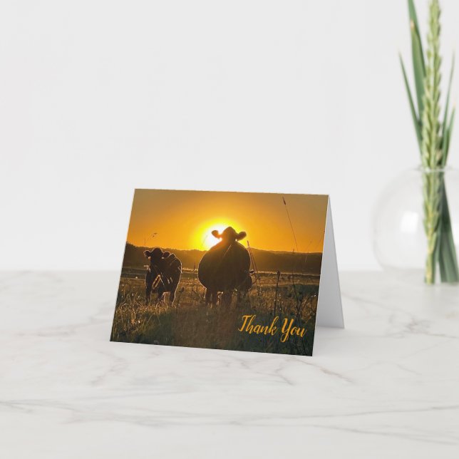 Cows at Sunset Thank You Card (Front)
