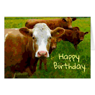 Cows Birthday card