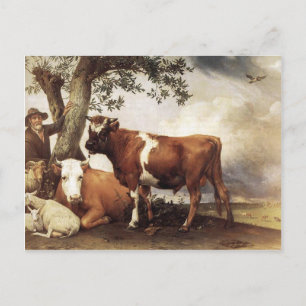 Cows by Potter Postcard