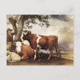 Cows by Potter Postcard