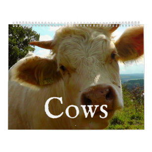 Cows Calendar