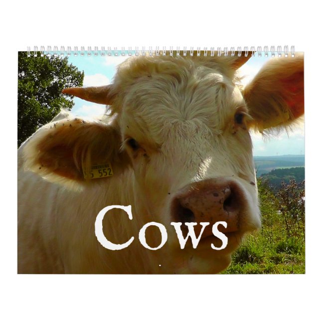 Cows Calendar (Cover)