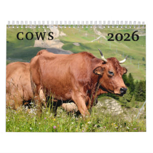Cows calendar