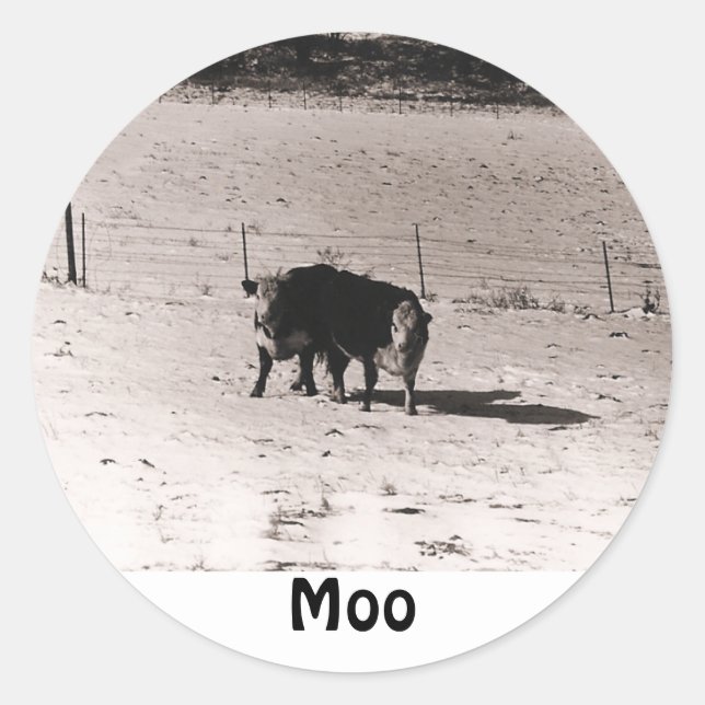 cows classic round sticker (Front)