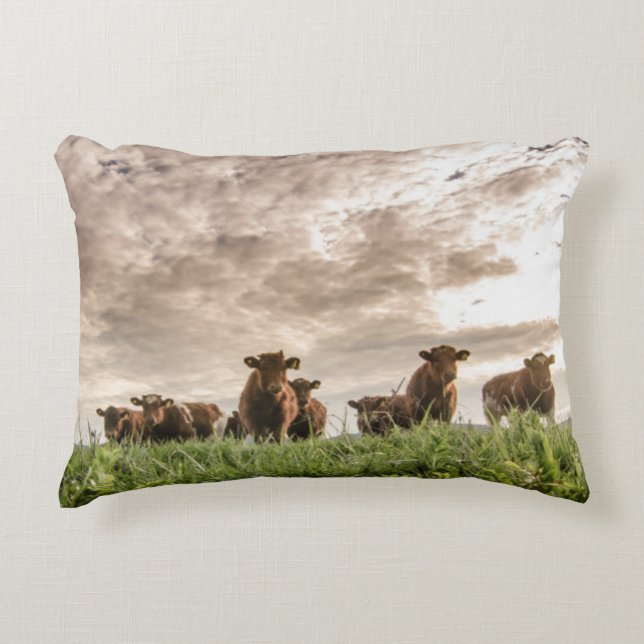 Cows Decorative Cushion (Front)