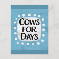 Cows For Days Postcard