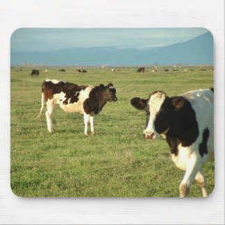 cows got cheese mouse pad