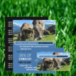 Cows Grazing, Cheesemonger Advertising Flyer<br><div class="desc">Cows Grazing,  Cheesemonger Advertising Flyers By The Business Card Store.</div>