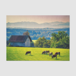 Cows Grazing Peacefully in a Bucolic Setting Tissue Paper