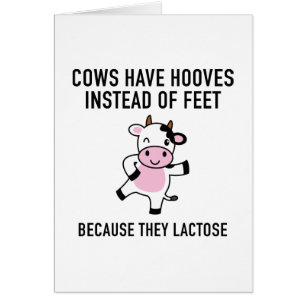 Cows Have Hooves