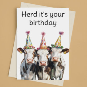 Cows Herd It's Your Birthday Funny Card