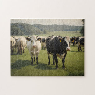 Cows in a field jigsaw puzzle