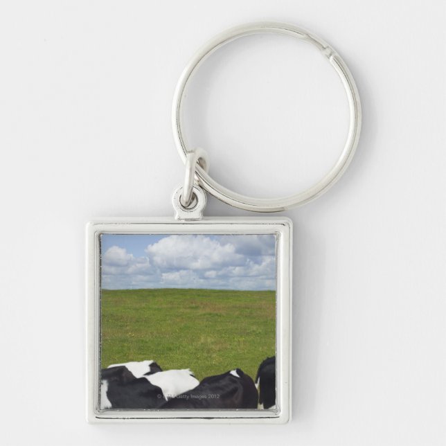 Cows in a pasture key ring (Front)