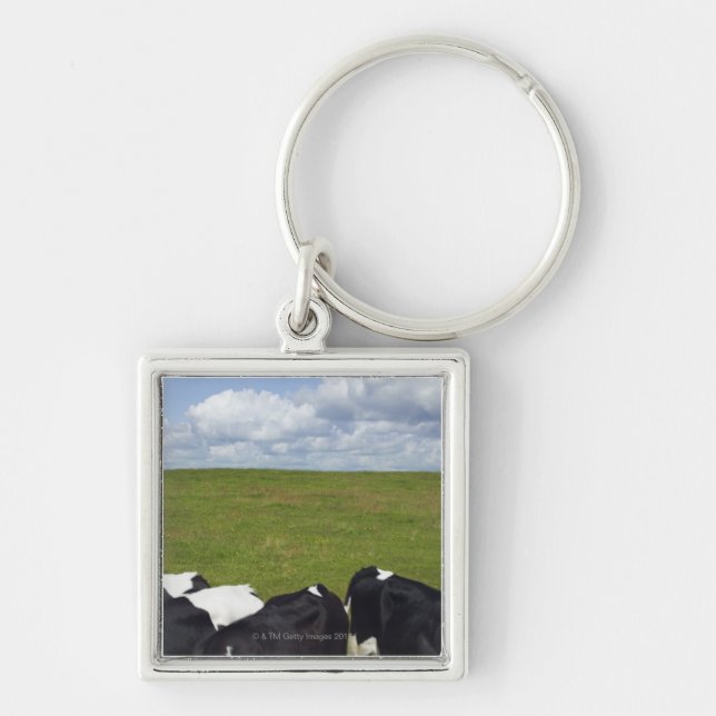 Cows in a pasture. key ring (Front)