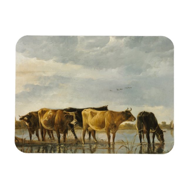 Cows in a River Aelbert Cuyp   Magnet (Horizontal)