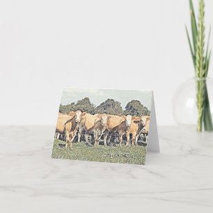 Cows in a Row - Blank Greeting Card