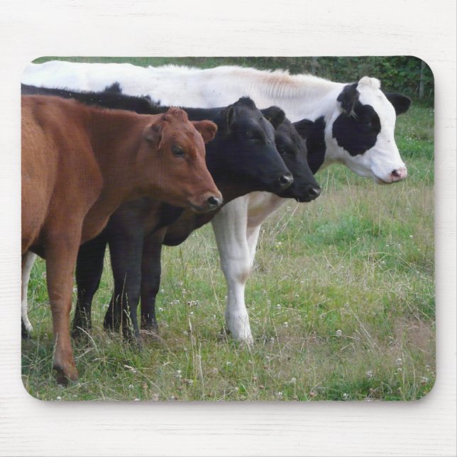 Cows in a Row Mouse Pad (Front)