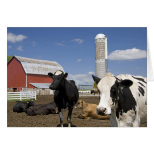Cows in front of a red barn and silo on a farm