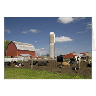 Cows in front of a red barn and silo on a farm