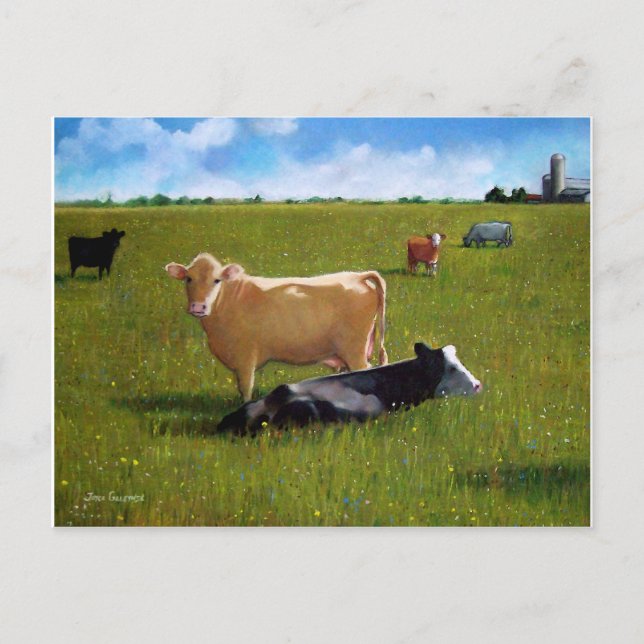 COWS IN PASTURE PASTEL POSTCARD (Front)