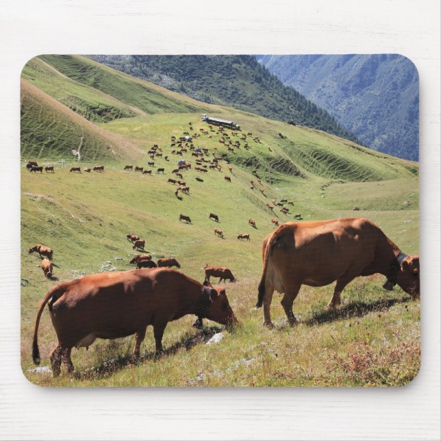 cows in Tarentaise Valley - Tarine race Mouse Pad (Front)