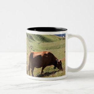 cows in Tarentaise Valley - Tarine race Two-Tone Coffee Mug