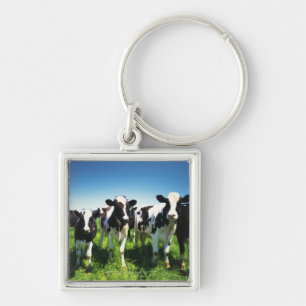 Cows in the field, Betsukai town, Hokkaido Key Ring