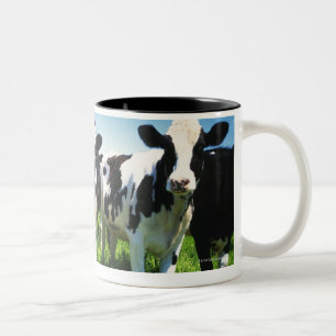 Cows in the field, Betsukai town, Hokkaido Two-Tone Coffee Mug