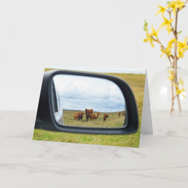 Cows in the mirror card (Yellow Flower)