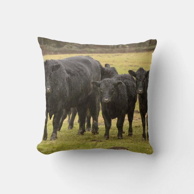 Cows in the rain cushion (Front)