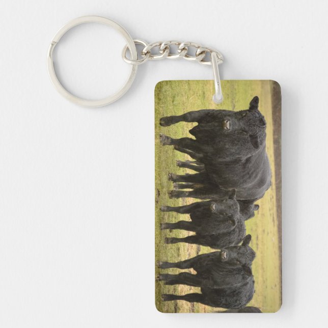 Cows in the rain key ring (Front)