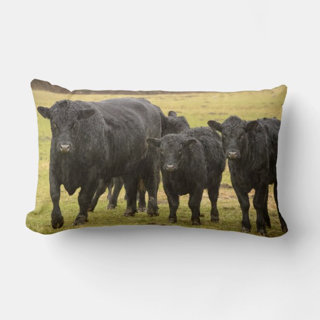 Cows in the rain lumbar cushion (Front)