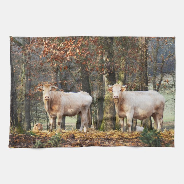 Cows in woodland tea towel (Horizontal)