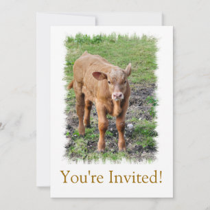 COWS INVITATION