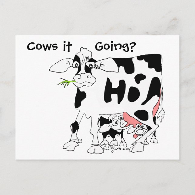 Cows it Going? Postcard (Front)
