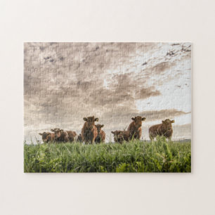 Cows Jigsaw Puzzle