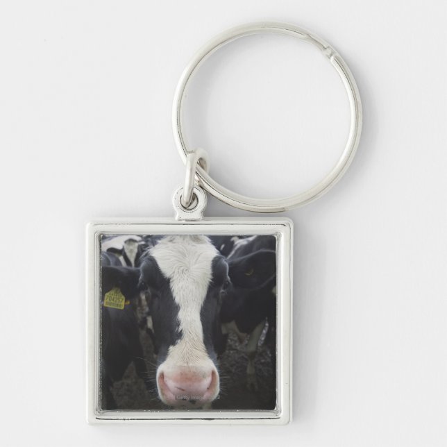 Cows Key Ring (Front)