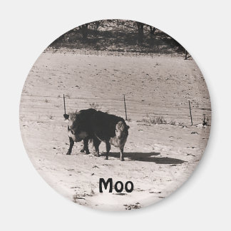 cows magnet