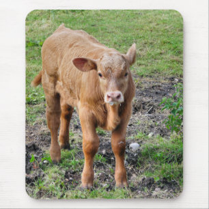 COWS MOUSE PAD