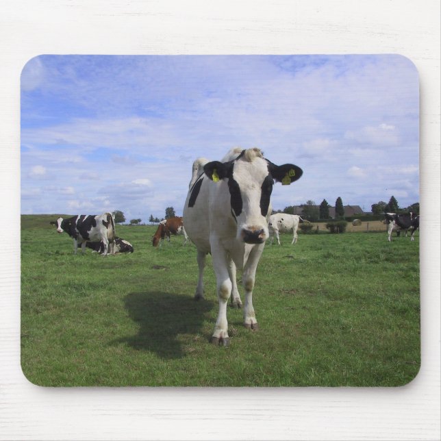 Cows Mouse Pad (Front)