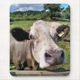 COWS MOUSE PAD