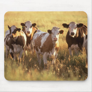 Cows Mouse Pad