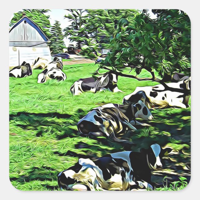Cows on a Farm resting on a Pasture Stickers (Front)