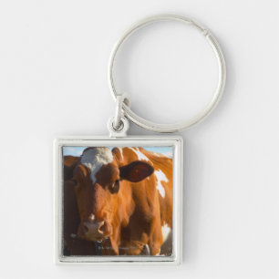Cows on farm key ring