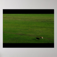 Cows on Panoramic Pasture