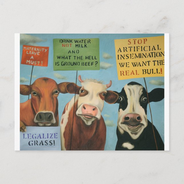Cows On Strike Postcard (Front)