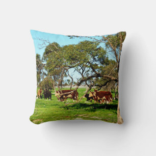 Cows On The Range, Cushion