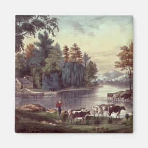 Cows on the Shore of a Lake Magnet