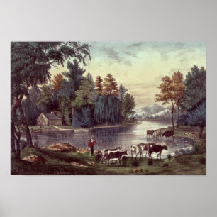 Cows on the Shore of a Lake Poster