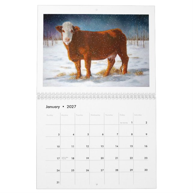 COWS: Original Art of Various Cattle Calendar (Jan 2027)